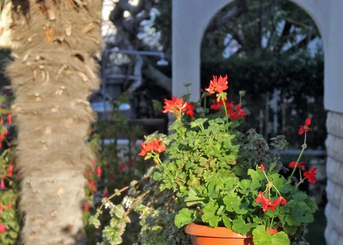 Apartments By The Sea Zadar - Diklo - 5913